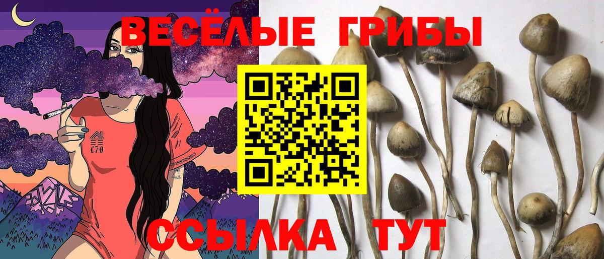 Галлюциногенные грибы мицелий Каменск-Уральский