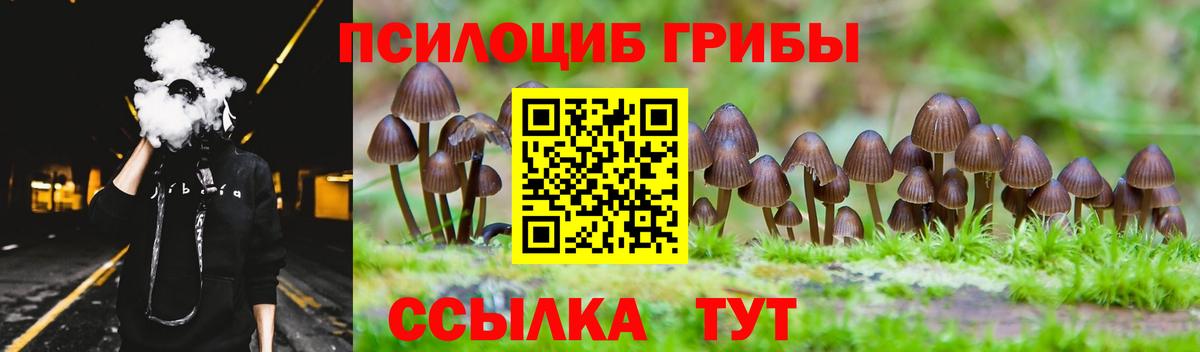Каменск-Уральский  цена   Вход с VPN  Псилоцибиновые грибы Psilocybine cubensis 