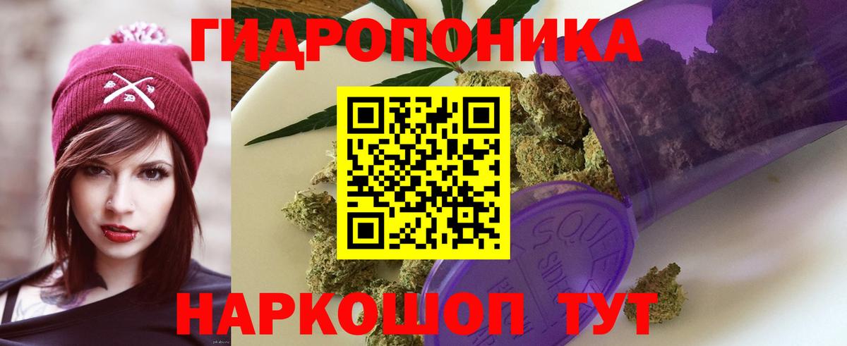 Конопля Bruce Banner  Конопля марихуана  Каменск-Уральский  Вход с VPN  Марихуана ГИДРОПОН 